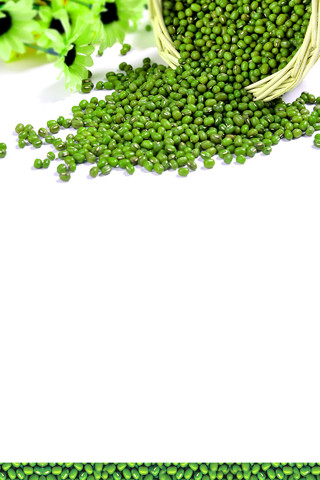 绿豆粒绿豆元素白色海报背景